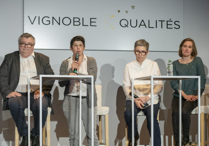Marne : comment mieux détecter et combattre la flavescence ?