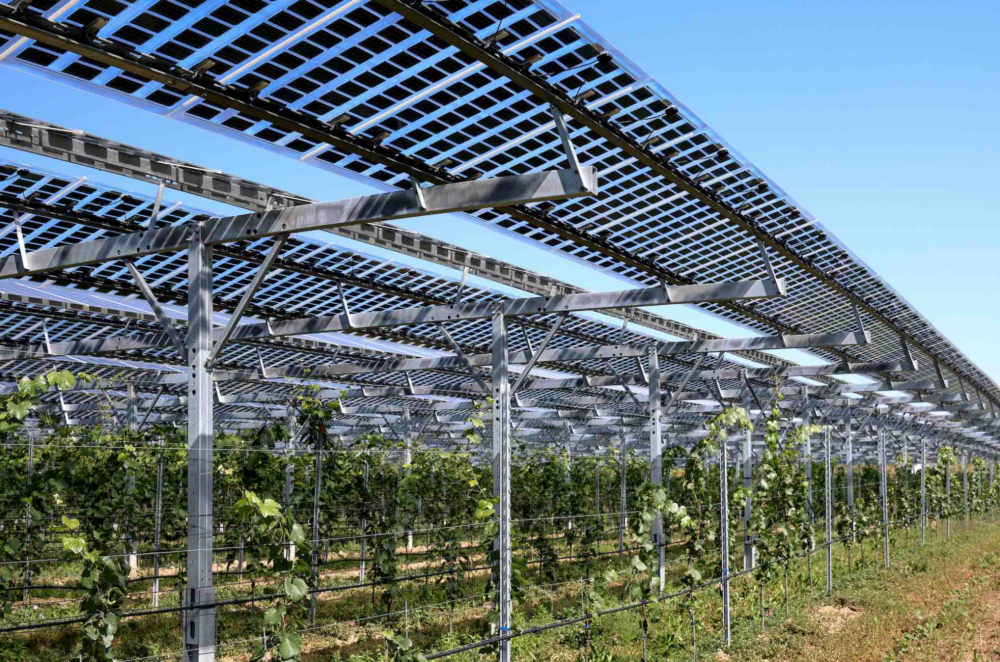 Reims La Marne Agricole Châlons Photovoltaïque ou agrivoltaïque : intégrer les contraintes de raccordement électrique Si l'énergie solaire promet un complément de revenu face aux crises, le parcours — entre raccordement et bureaucratie — s’apparente à une course de fond de 3 à 5 ans.