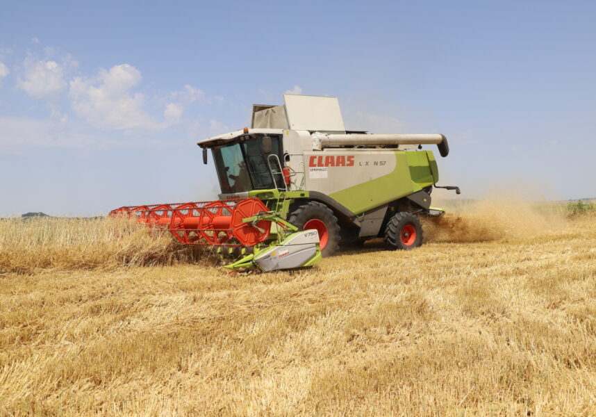 Moisson dans la Marne : orges d’hiver, des rendements qui s’annoncent globalement décevants