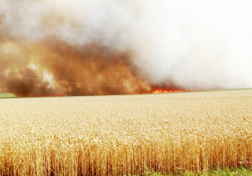 Moisson dans la Marne : rester vigilant face au risque incendie