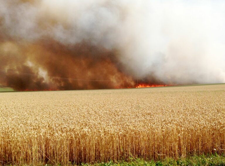 Reims La Marne Agricole Moisson : rester vigilant face au risque incendieAvec des conditions estivales sèches et des températures élevées dans la Marne, la période des moissons demande une attention particulière. Sans céder à l’inquiétude, quelques réflexes simples permettent de sécuriser efficacement les chantiers.