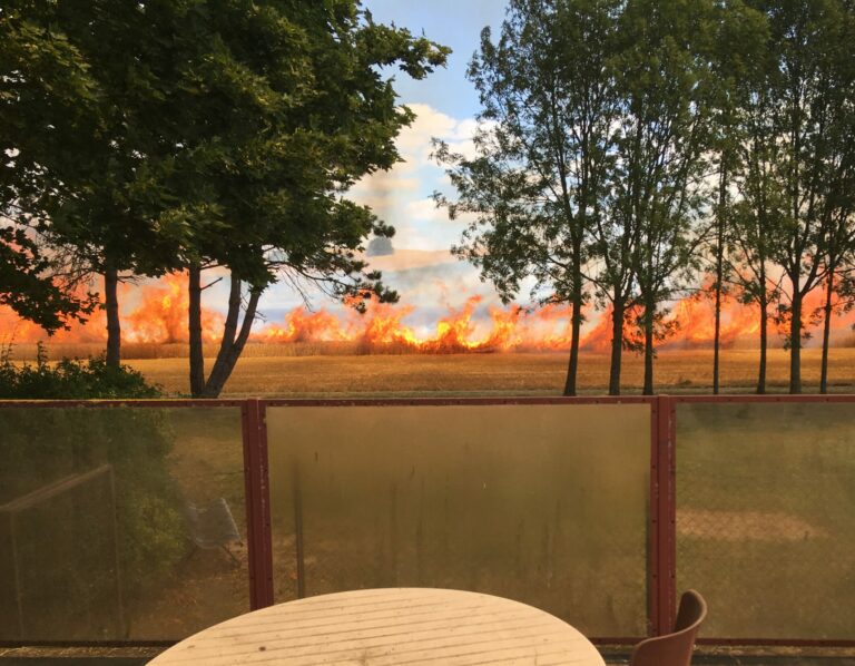 Reims La Marne Agricole Face à une situation météorologique exceptionnelle où les températures pourront atteindre 40 °C, le préfet de la Marne prend plusieurs arrêtés préfectoraux d’interdiction et d’aménagement, a-t-on appris par un communiqué.