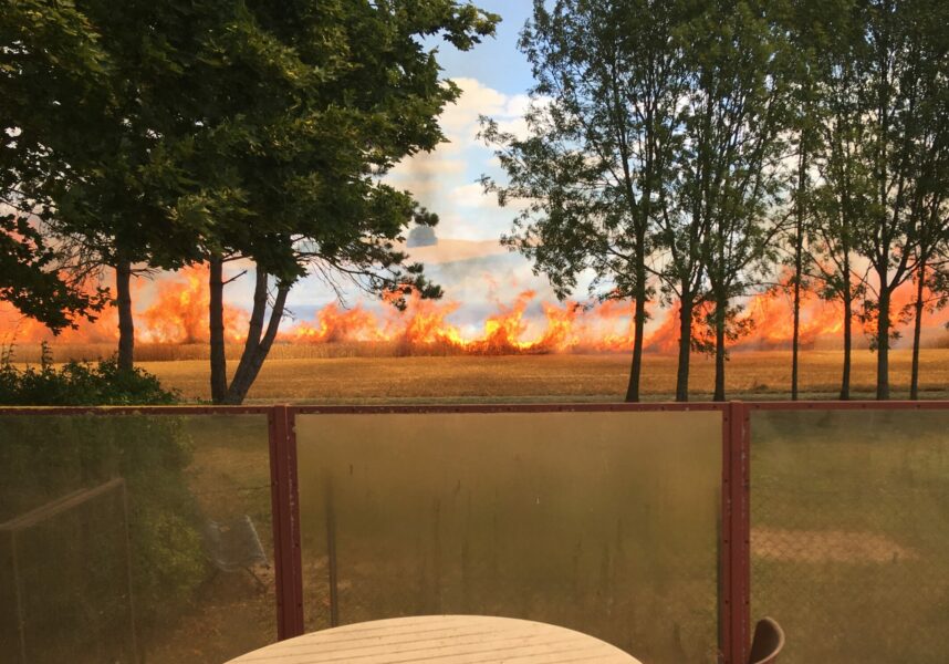 La Marne en vigilance rouge canicule : restrictions sur la moisson