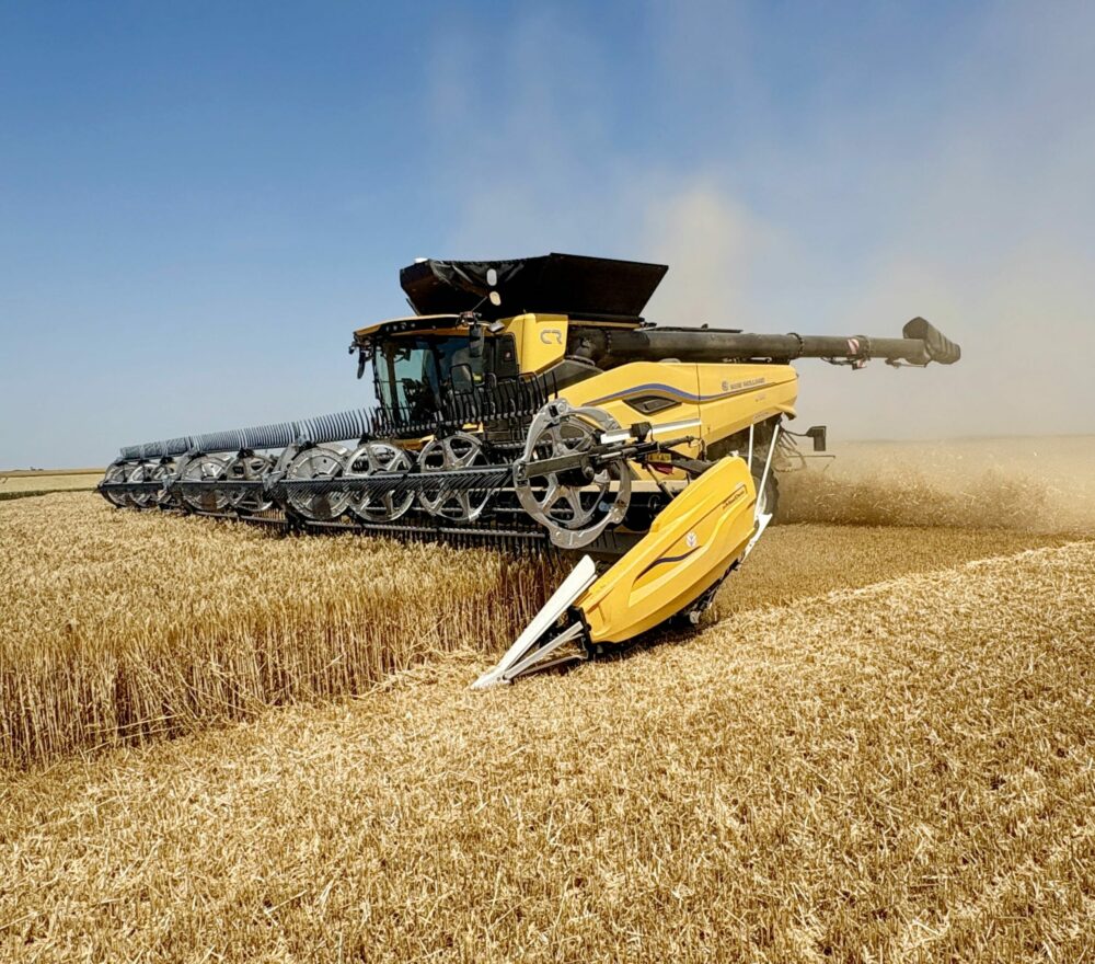 Reims La Marne Agricole France : des récoltes de blé et d’orge plombées par la faiblesse des rendements Les productions de blé et d’orge sont inférieures de 4 % et de 6 % à celles de l’an passé. Celle de blé dur est inférieure de 17 %. La faute à des rendements en baisse. L’ensemble de l’UE ne s’en sort pas mieux, l’Allemagne mise à part.