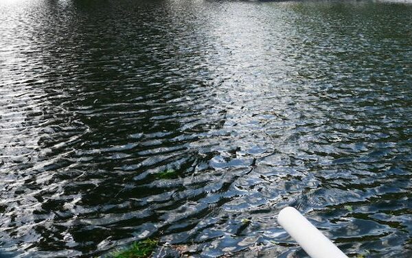 État de vigilance sur les nappes d’eau souterraines du département de la Marne