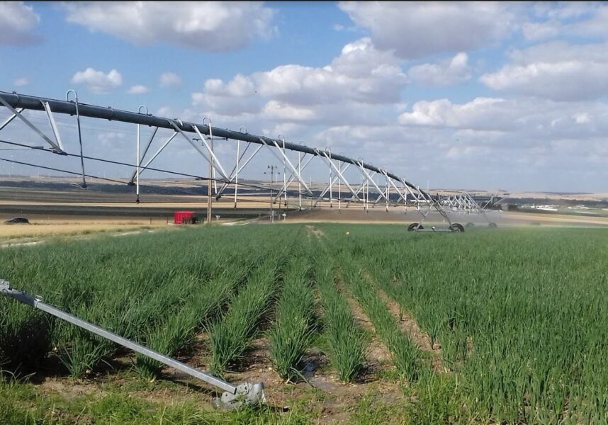 Marne : davantage de nappes d’eau souterraines en alerte Marne : davantage de nappes d’eau souterraines en alerte