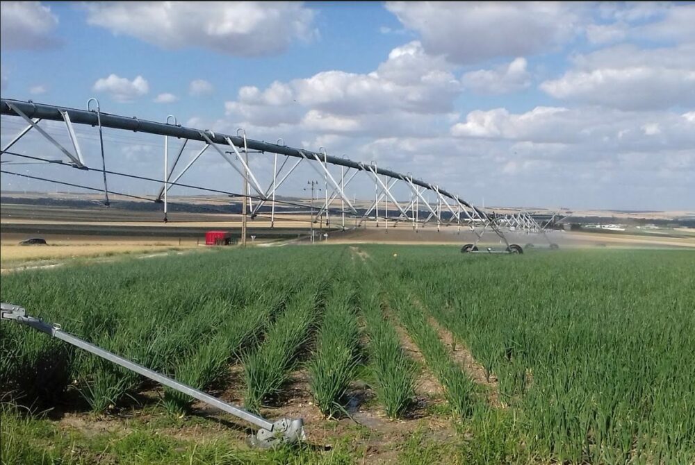 Reims La Marne Agricole État de vigilance sur les nappes d’eau souterraines Les prévisions météorologiques pour la Marne annoncent la poursuite d’un temps chaud, sans précipitations significatives dans les prochains jours. « Dans ce contexte, le niveau des nappes phréatiques et des cours d’eau continue de diminuer », signale la préfecture.