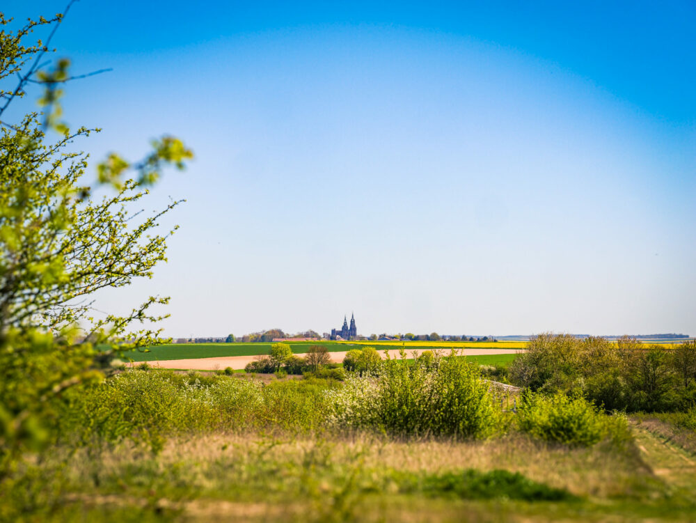 Reims La Marne Agricole L’Épine : le savart de la Folie classé réserve naturelle Le Grand Est compte une nouvelle réserve naturelle régionale : le savart de la Folie. Situé à L’Épine sur le territoire de Châlons Agglo, cet espace de 63 hectares, constitué de pelouses sèches, héberge des espèces rares et protégées en France. Une victoire pour la biodiversité.