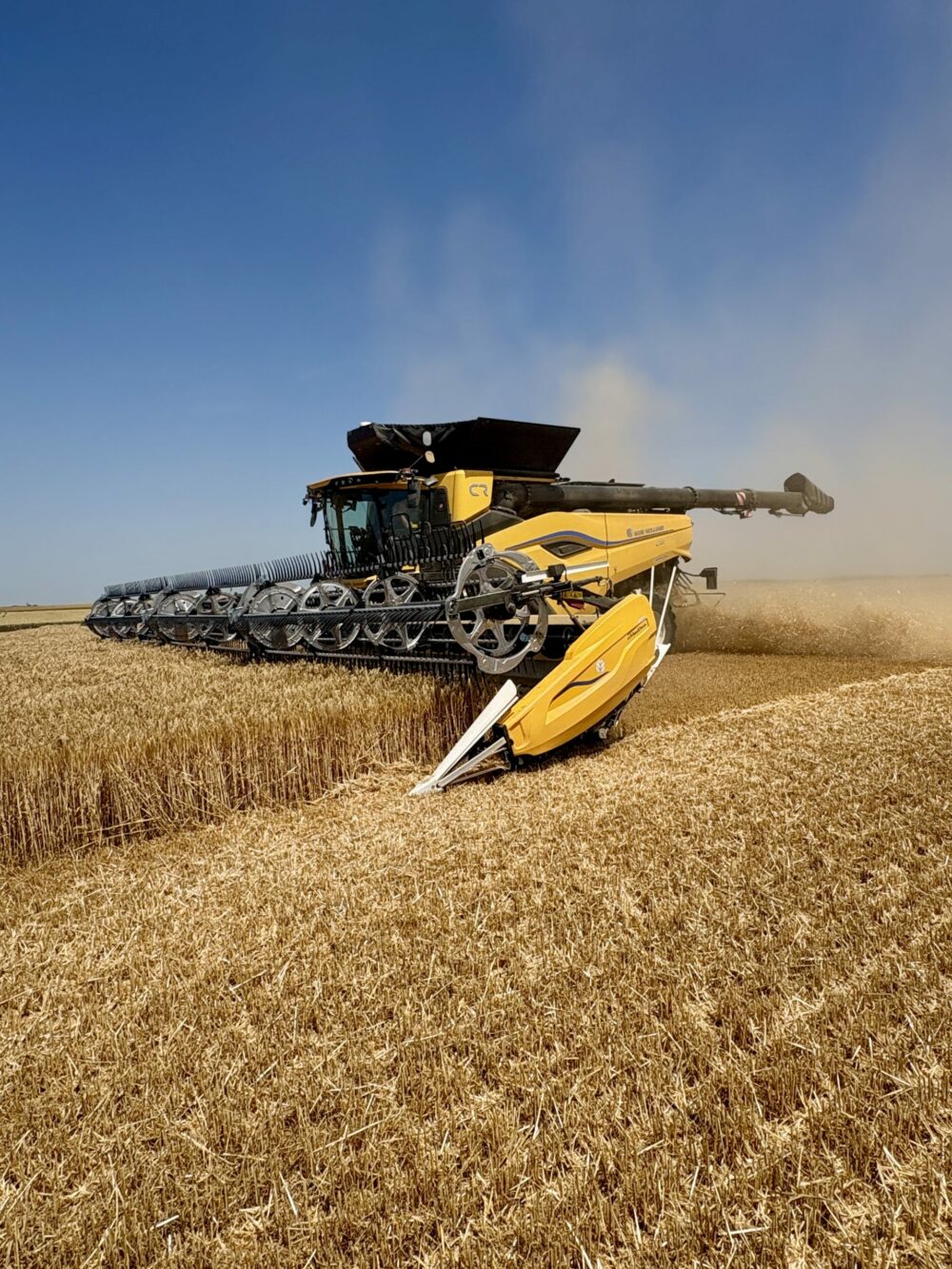La Marne Agricole Reims Les premiers blés ne déçoivent pas Dans la Marne, les premiers blés ont été fauchés le 23 juin. Environ 10 % des surfaces étaient rentrées au 1er juillet matin. Le rendement n’a rien d’exceptionnel et la qualité est correcte.