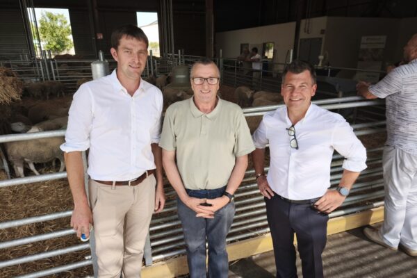 Reims : la coopérative EMC2 investit dans la filière ovine Reims : la coopérative EMC2 investit dans la filière ovine