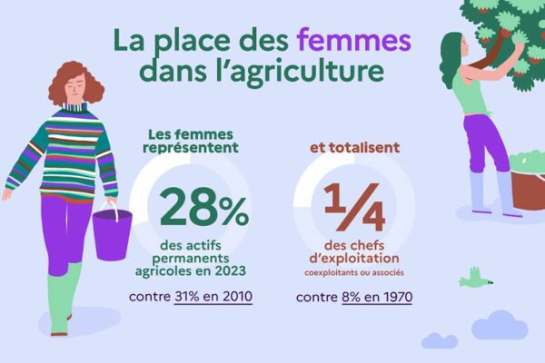 Conjointes : cotisations réduites pour devenir cheffe d’exploitation