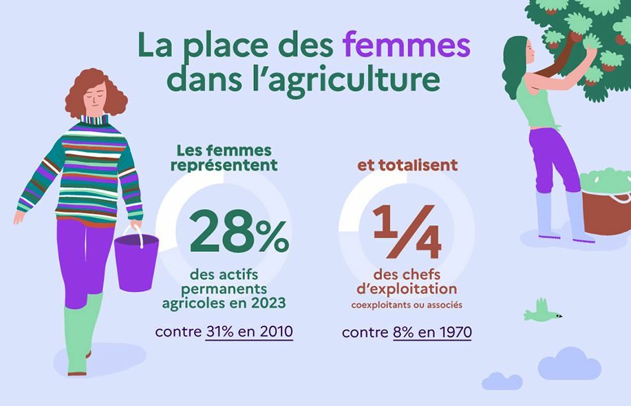 Reims La Marne Agricole Conjoints : cotisations réduites pour devenir chef d'exploitation