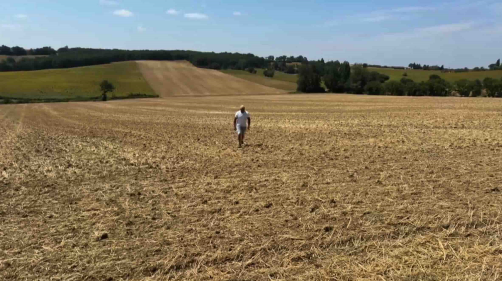 Reims La Marne Agricole Plan canicules et sécheresse : chiffrage du ministère attendu le 27 août Afin de calibrer son « plan massif » d’aide d’urgence, Annie Genevard réunira les préfets jeudi 27 août pour un « état des lieux » des pertes provoquées par la sécheresse et les canicules. La FNSEA a d’ores et déjà estimé les besoins à plusieurs milliards d’euros.