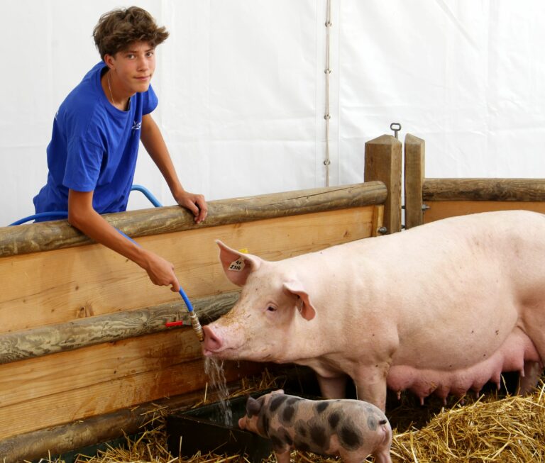 Reims La Marne Agricole Cochon : un atout maître pour l'humanité ?Dans son dernier ouvrage, le chercheur Sébastien Abis propose une analyse prospective fascinante du porc. Bien plus qu'une simple ressource alimentaire, cet animal s'impose comme un pilier stratégique de nos transitions écologiques, médicales et géopolitiques mondiales. 