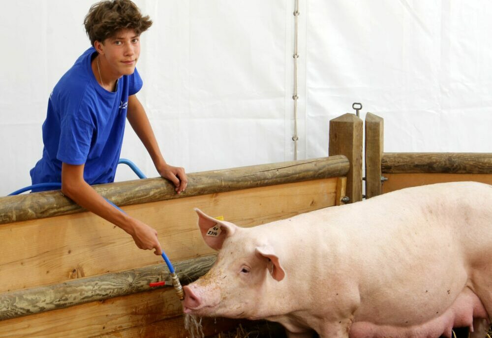Reims La Marne Agricole Cochon : un atout maître pour l'humanité ? Dans son dernier ouvrage, le chercheur Sébastien Abis propose une analyse prospective fascinante du porc. Bien plus qu'une simple ressource alimentaire, cet animal s'impose comme un pilier stratégique de nos transitions écologiques, médicales et géopolitiques mondiales.