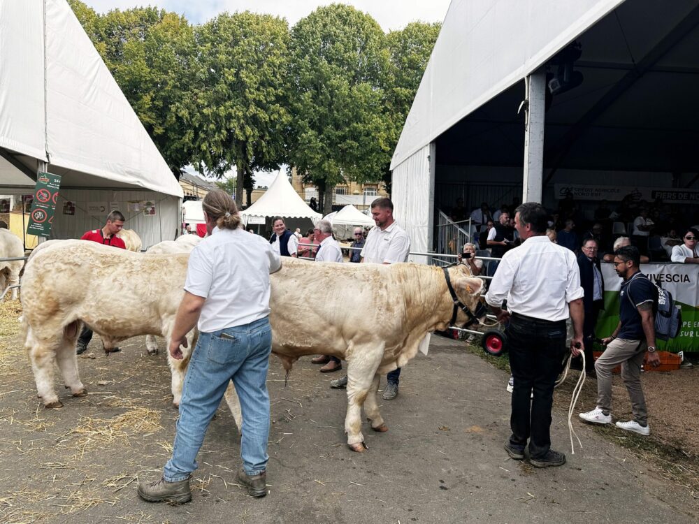Reims La Marne Agricole Le Crédit Agricole du Nord Est mobilise 60 millions d’euros pour accompagner les exploitations agricoles face aux aléas climatiques