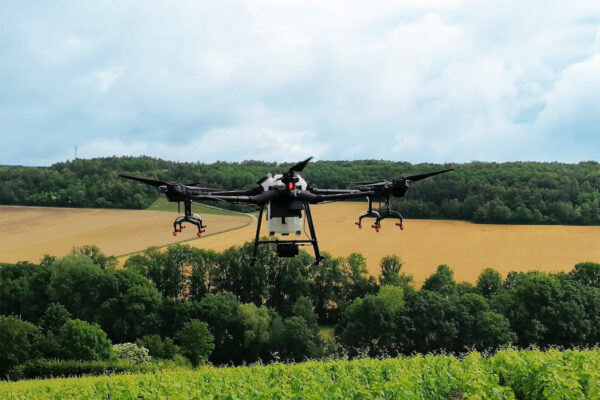 Champagne : drones en viticulture, quels enjeux et quelles règles ?