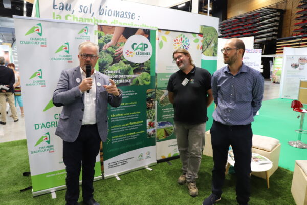 Cap Légumes accompagne les producteurs marnais et du Grand Est