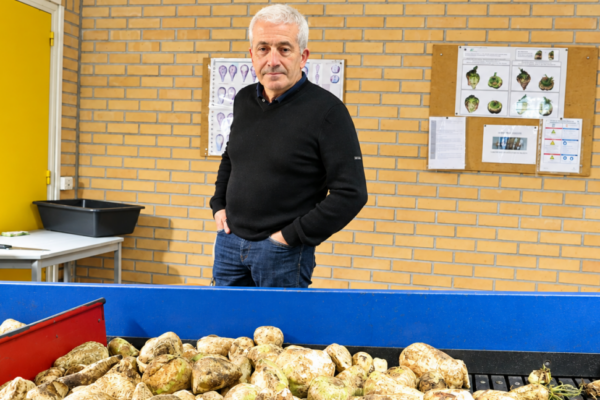 Sillery : une campagne betteravière écourtée et sous le signe de l’adaptation Sillery : une campagne betteravière écourtée et sous le signe de l’adaptation