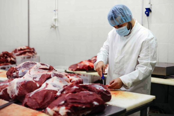 Les difficultés de la filière bovine menacent l’avenir des abattoirs Les difficultés de la filière bovine menacent l’avenir des abattoirs